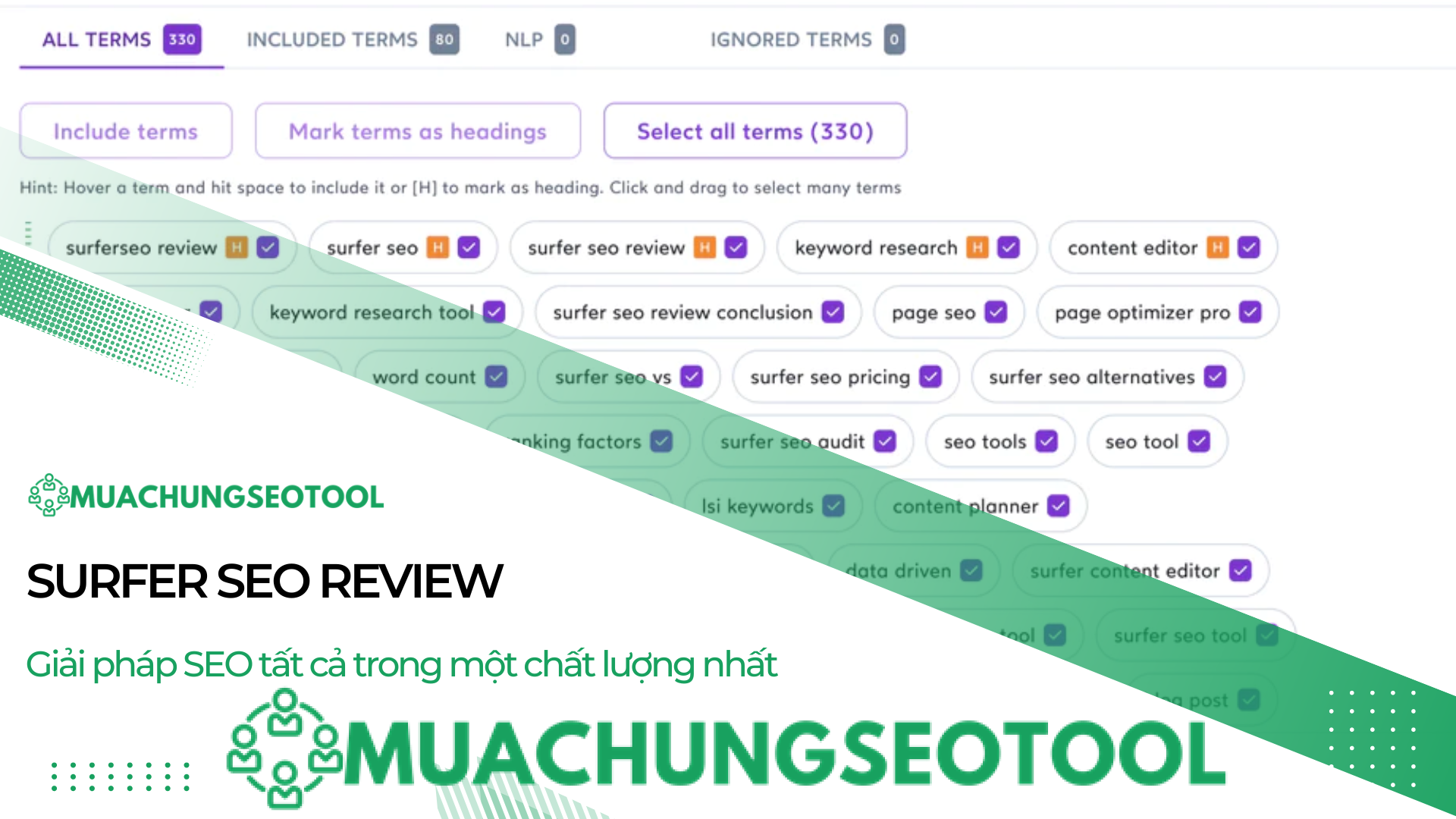 Surfer Seo Review bia