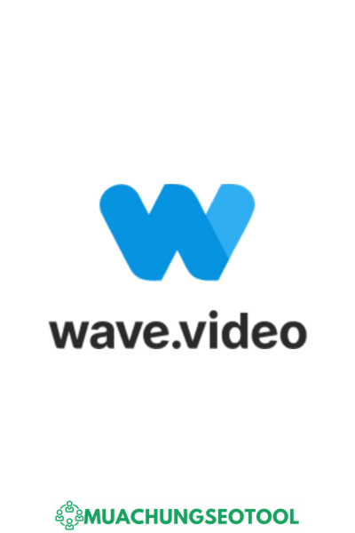 Wave.Video